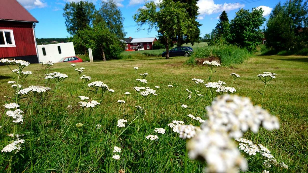Ett Hus Med 3 Sovrum Med Supersnabba Internet Fiberanslutningen 1000Mb-100Mb I Hoeg, 7 Minuter Fran Хюдиксвал Екстериор снимка